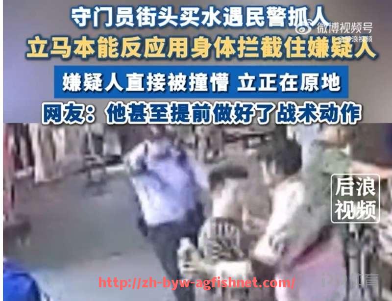 AG捕鱼王官网-意甲博洛尼亚足球队详细介绍及历史战绩